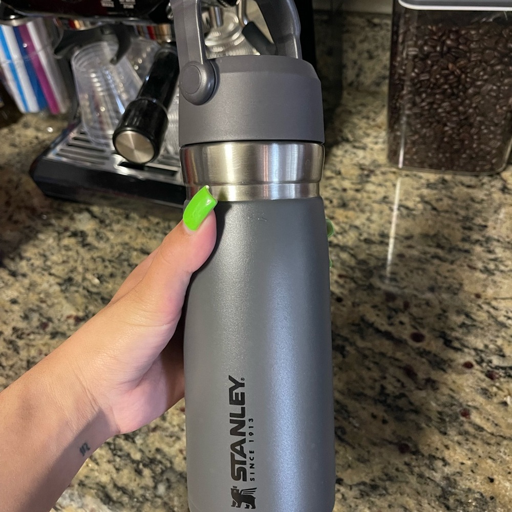 Stanley Gray Insulated Water Bottle